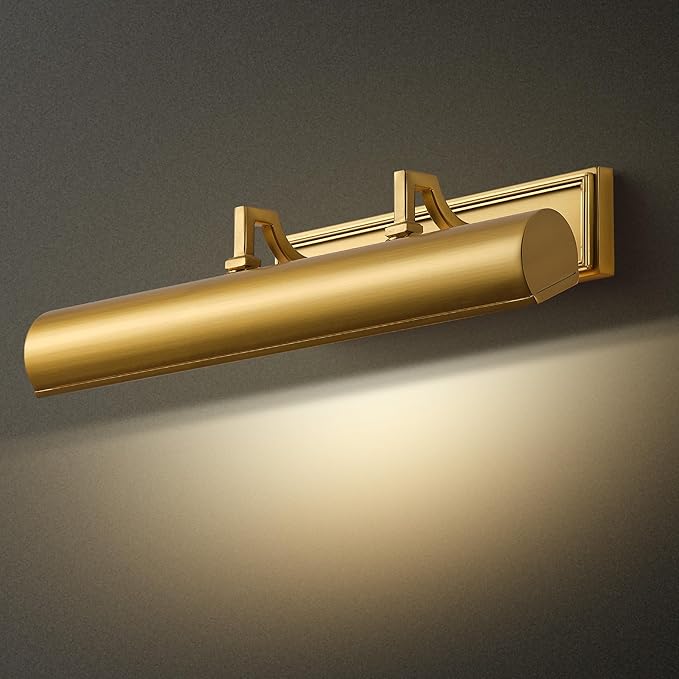 AUDOSY18 Brass Picture Light, 270° Rotatable Gold Wall Sconce Hardwired by AUDOSY