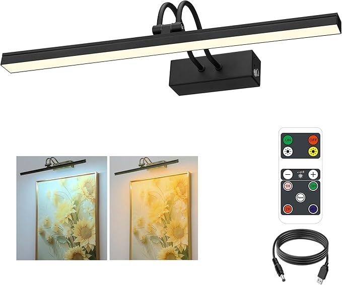 FUNCHDAY Dimmable Picture Light by FUNCHDAY