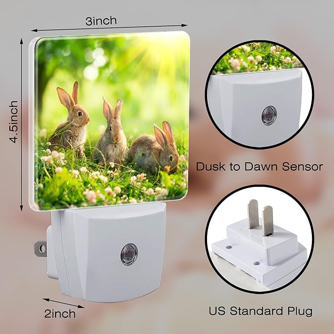 Easter Bunny in The Meadow Night Light Plug into Wall, Cute Rabbits and Spring - Image 2