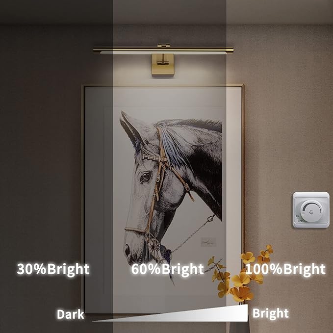 Joosenhouse LED Picture Light Fixtures Dimmable 24.4 Inches, Full Metal Artwork - Image 4