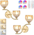 Battery Operated Wall Sconce, 2-Lights Vinatge Brass Wall Lighting by Shenmoyl