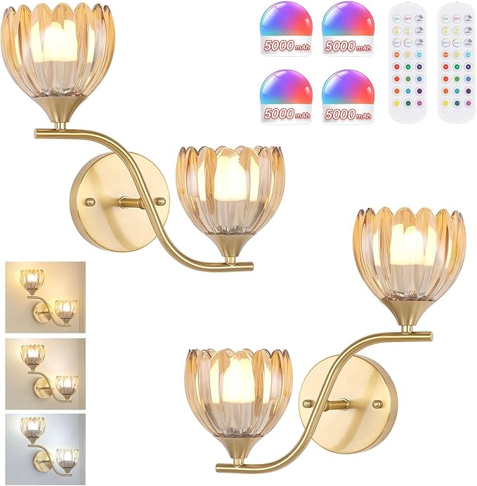 Battery Operated Wall Sconce, 2-Lights Vinatge Brass Wall Lighting by Shenmoyl