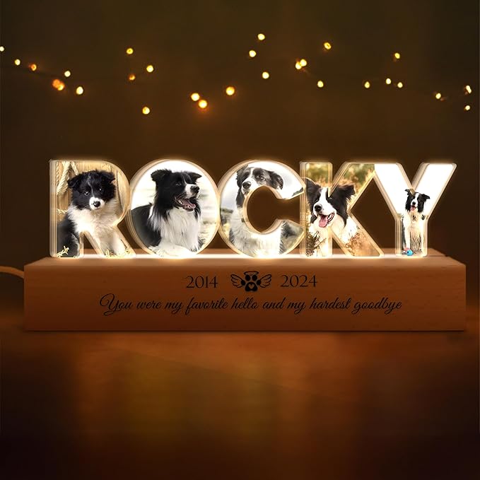 Personalized Pet Memorial Night Light - Image 2