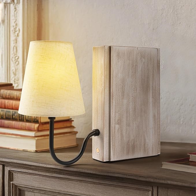 AELS Wooden Bookshelf Lamp by AELS