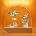 Baby Night Light/Newborn Boy Gifts/Personalized Baby Gifts/Custom Cloud Light by Unknown