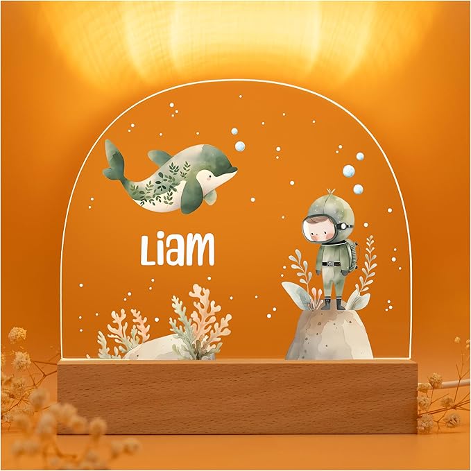 Baby Night Light/Newborn Boy Gifts/Personalized Baby Gifts/Custom Cloud Light by Unknown