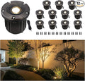 Gardenreet Brass Landscape Well Lights, LED Hardwired In Ground Low Voltage by Gardenreet