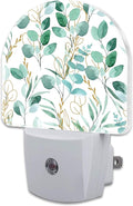 Green and Gold Eucalyptus Leaves Night Light Plug into Wall, Watercolor by sndheke