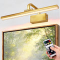 Picture Light, Picture Lights for Wall Cordless, Picture Lights by RAIFOOLLY