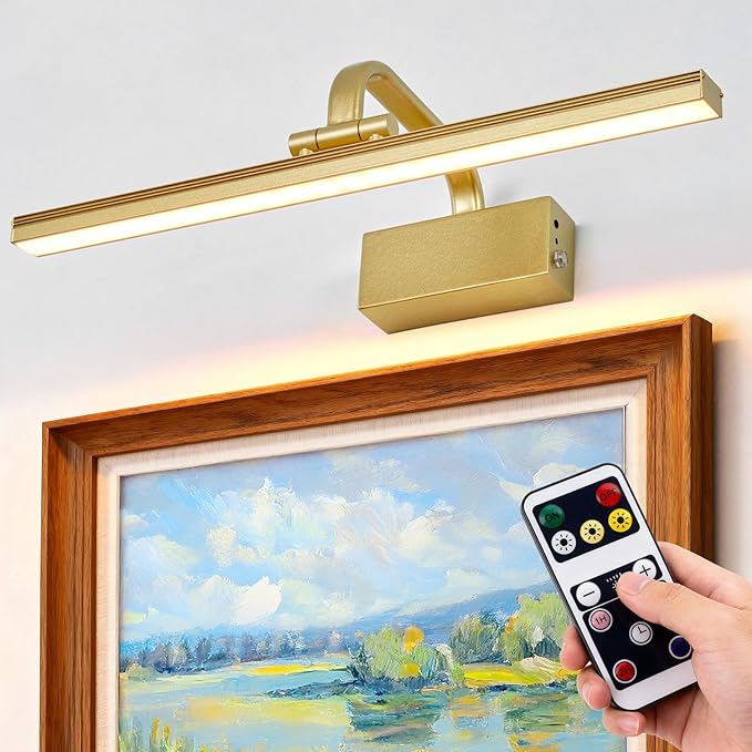 Picture Light, Picture Lights for Wall Cordless, Battery Wall Lights for by RAIFOOLLY