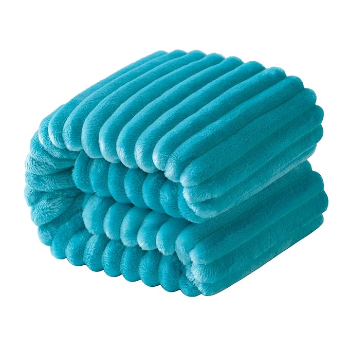 NTBAY Plush Flannel Twin Bed Blanket, 60X80 Inches Soft and Warm Lightweight by NTBAY
