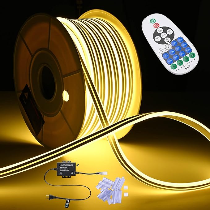 DELight 100FT Warm White Neon Rope Lights by DELight
