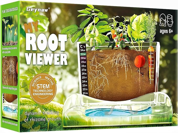 Root Viewer Kit for Kids by Geynaw