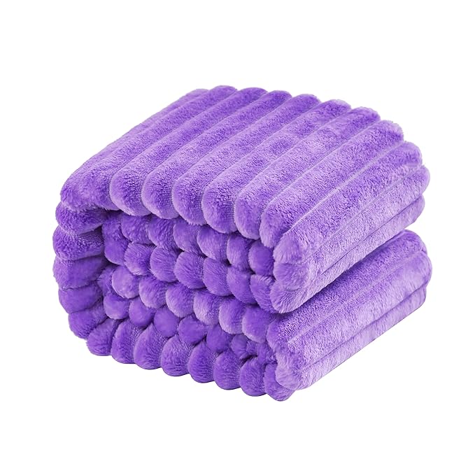 NTBAY Plush Flannel Twin Bed Blanket, 60X80 Inches Soft and Warm Lightweight by NTBAY
