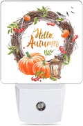 Hello Autumn Night Light, Pumpkin Plug into Wall by JOPOWIDE