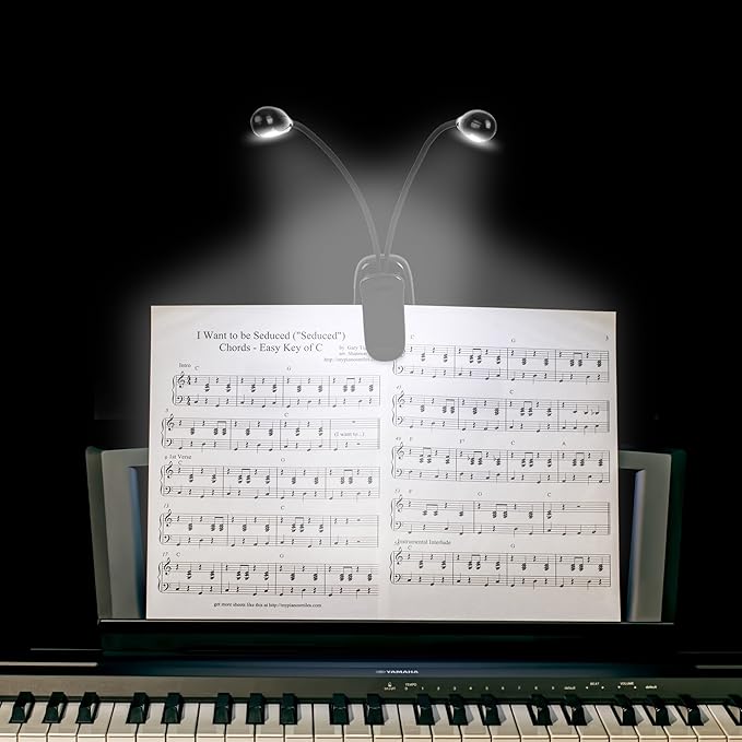 Music Stand Light, 1/2/4/10 Pack Clip on LED Book Lights, USB and AAA Battery - Image 2