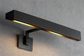 24" Picture Light Black Picture Light Hardwired, 2-Light Bronze Art Lights by Joyunleo