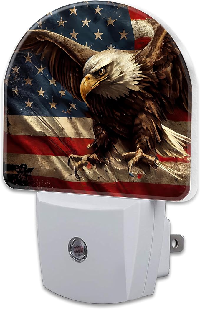 American Flag with Eagle Night Light Plug into Wall, Retro The USA Flag by sndheke