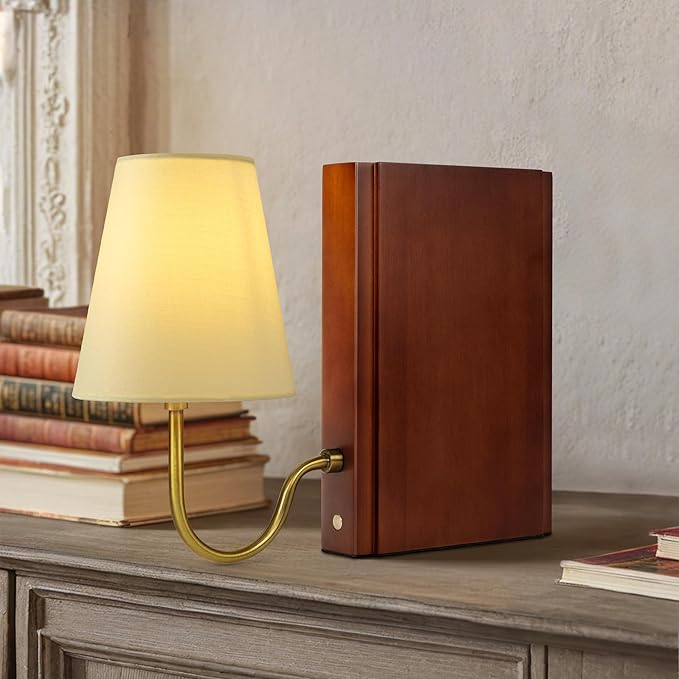 AELS Wooden Bookshelf Lamp by AELS