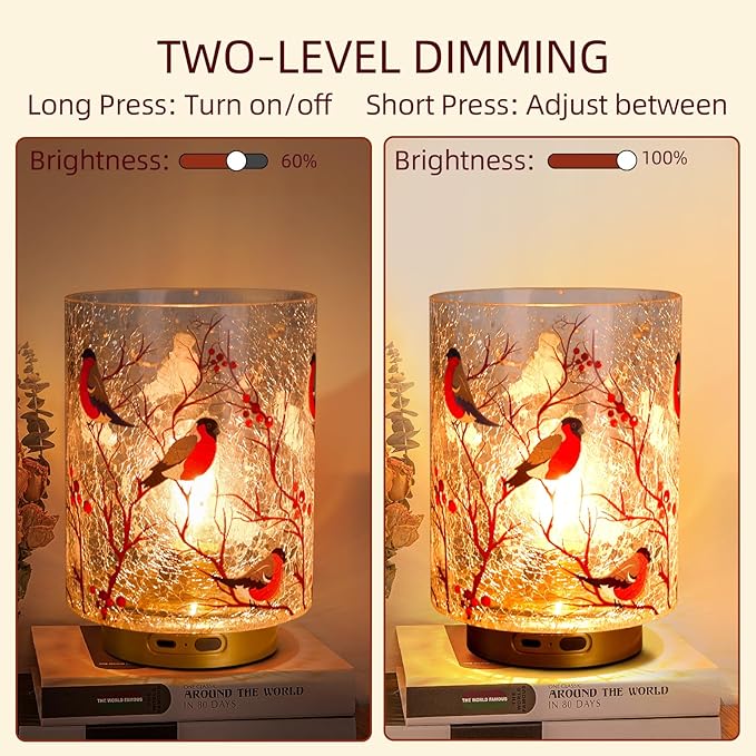 Rechargeable Battery Table Lamp Timer, Handmade Crackle Glass Lamps - Image 4