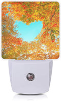 Blue Heart Sky Night Light, Autumn Red Maple Leaves Forest Trees Plug-in Night by Oeaskly
