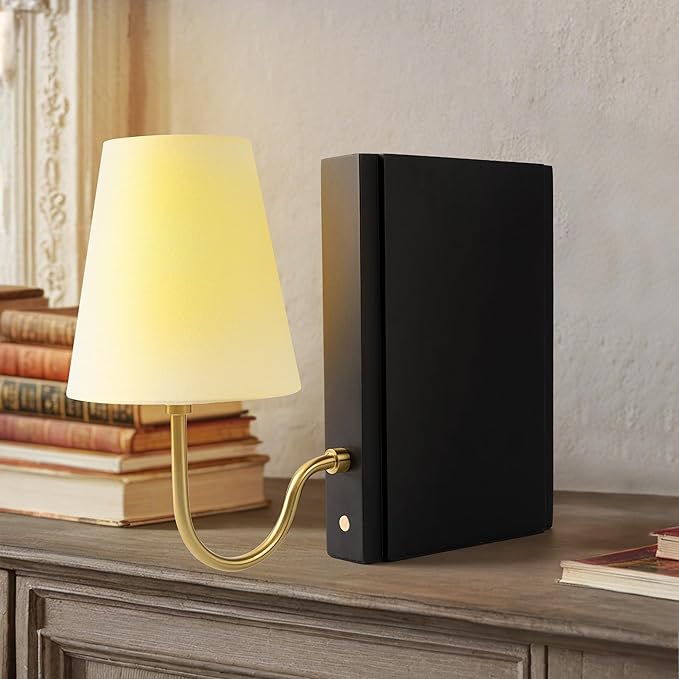 AELS Wooden Bookshelf Lamp by AELS