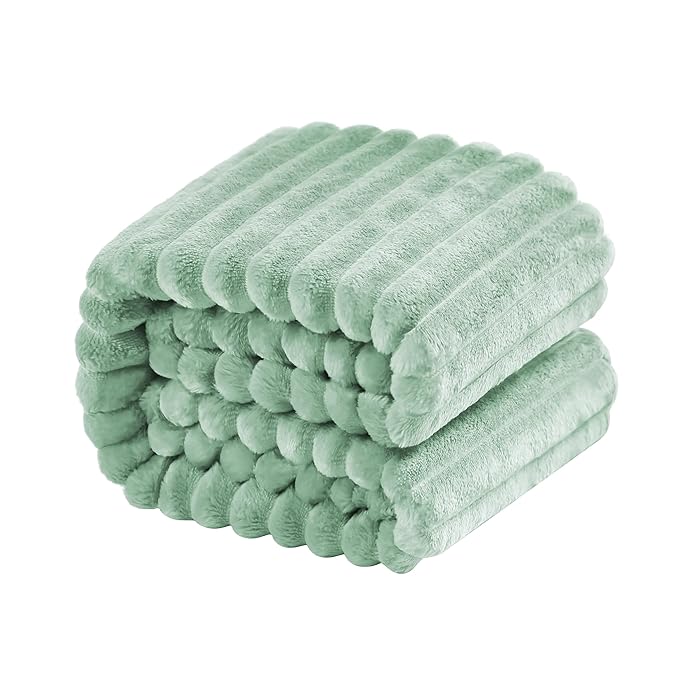 NTBAY Flannel Fuzzy Toddler Blanket, Fluffy Warm and Lightweight Reversible by NTBAY