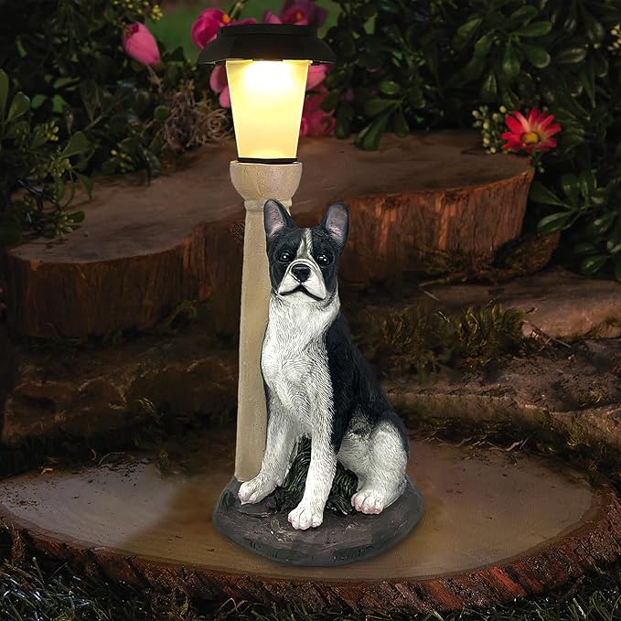 Solar Dog Garden Statues with Lantern, Resin Boston Terrier Sculpture with Warm - Image 6