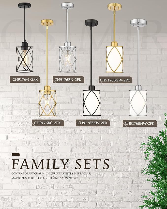 Glass Pendant Lights Kitchen Island 2 Pack, Farmhouse Industrial Cage Hanging - Image 5