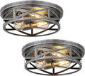 Close to Ceiling Light Fixtures, 3-Lights Cage Flush Mount Ceiling Light by Wyneyet