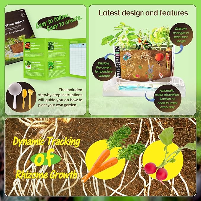 Root Viewer Kit for Kids - Image 4