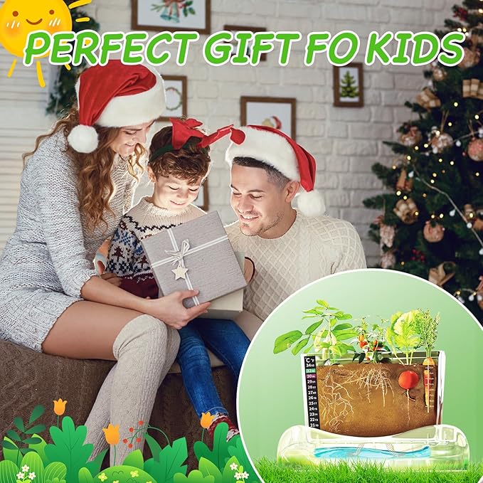 Root Viewer Kit for Kids - Image 7