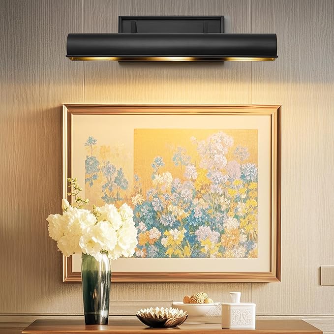 Black Hardwired Art Picture Light: 18 Inch Long Painting Lights - Image 2