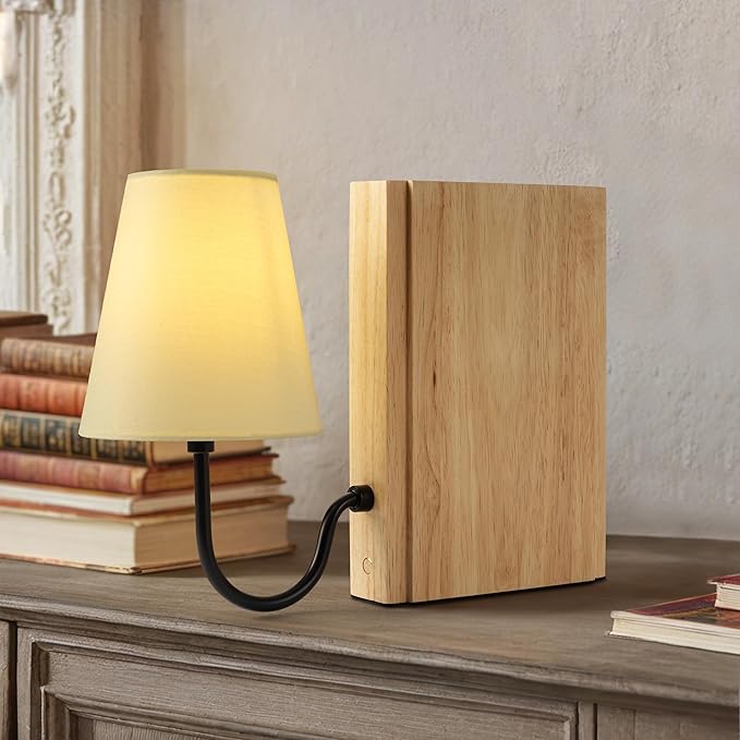 AELS Wooden Bookshelf Lamp by AELS