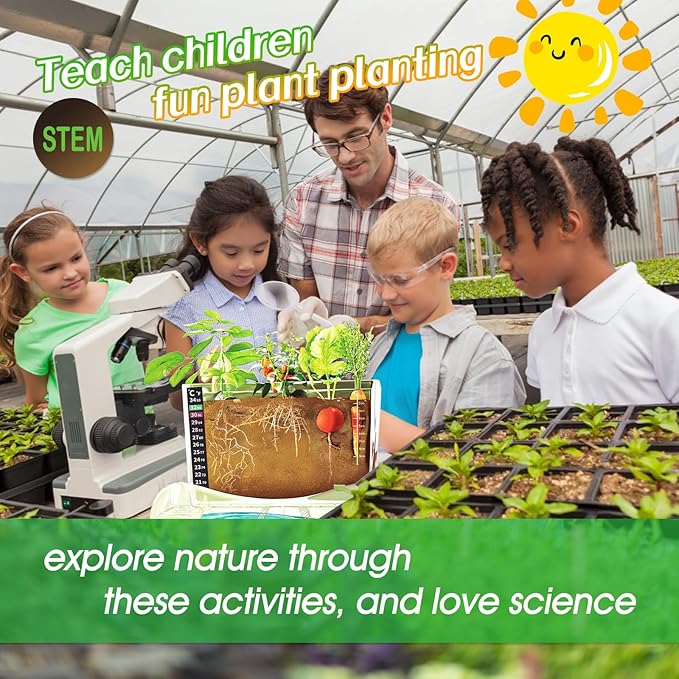 Root Viewer Kit for Kids - Image 6