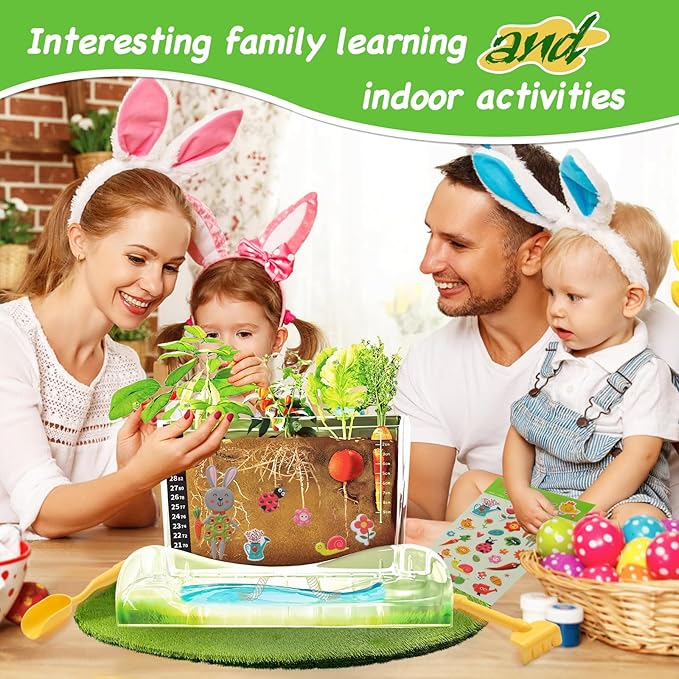 Root Viewer Kit for Kids - Image 3