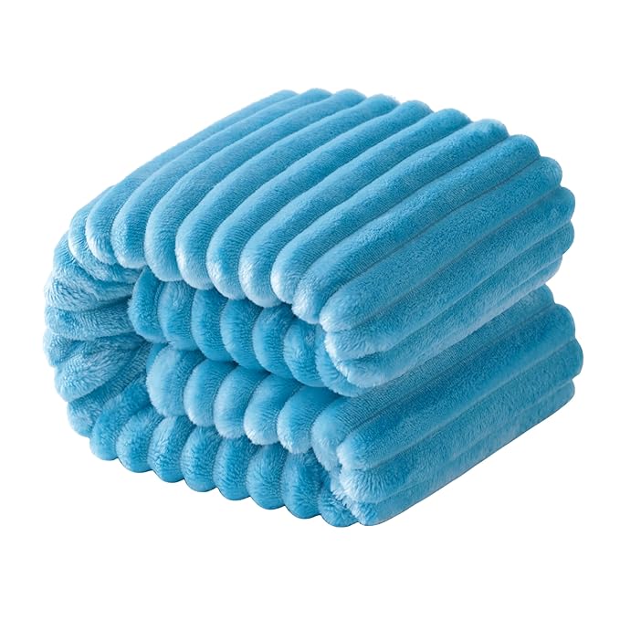 NTBAY Plush Flannel Twin Bed Blanket, 60X80 Inches Soft and Warm Lightweight by NTBAY