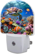 Sea Turtle in Coral Reefs Night Light, Underwater World Marine Fish Corals Dusk by sndheke
