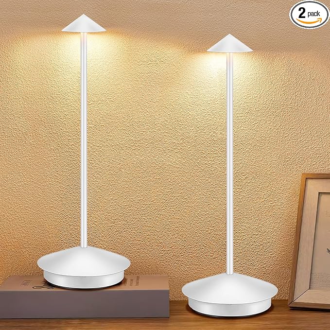 Portable Led Cordless Lamp Table Light 2 Pack, Rechargeable 6000mAh Battery by XMINKDZA