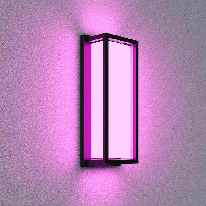 Color Changing Outdoor Wall Lights, Ambiance Exterior Wall Lights Up Down by RosykiteBuyNow